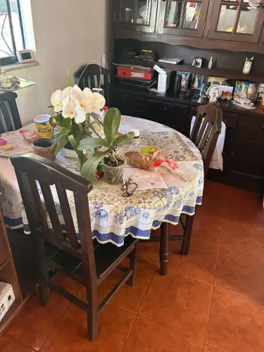 Arca e mesa de madeira