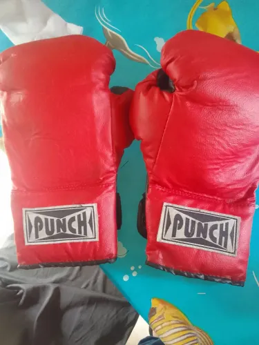Vendo luvas de Boxe
