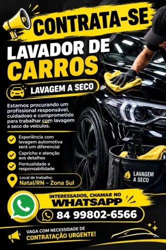 Lavador de Carros