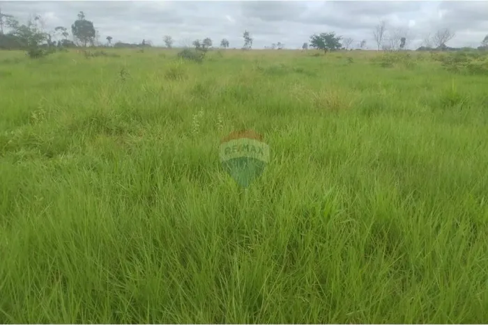 Fazenda com Casa, área de 84,52 ha Ordenha, Represas e Pastagens Excelente para Lavoura e