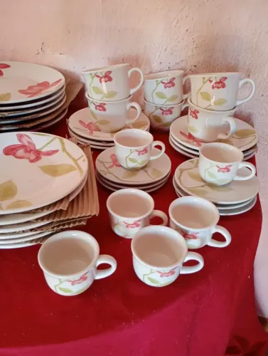 Aparelho de jantar 42 peças 