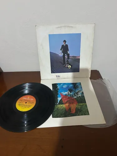 Disco de Vinil Pink Floyd