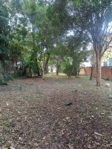 Terreno Comercial para Venda em Florianópolis, São João do Rio Vermelho