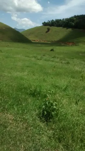 Ótima fazenda em Mimoso do Sul - ES