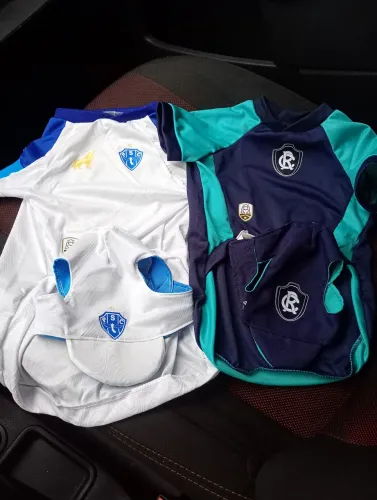 Moda futebol pet