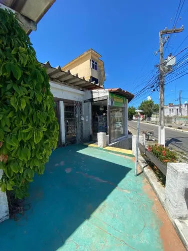 Pet shop com banho e tosa para alugar