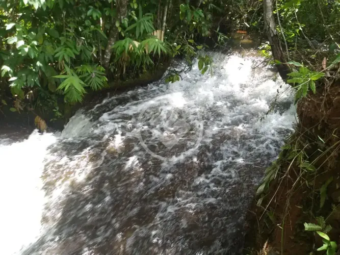 Fazenda em Goiás com plantação de Soja e Café codigo: 268245