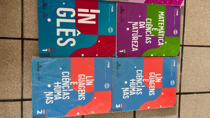 Livros didáticos 1o ano ensino médio 