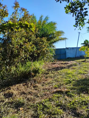 Vendo Sítio em Arembepe. Excelente oportunidade.