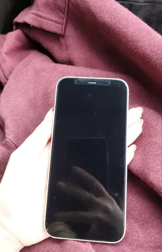 iPhone 12 + Carregador + 2 capinhas
