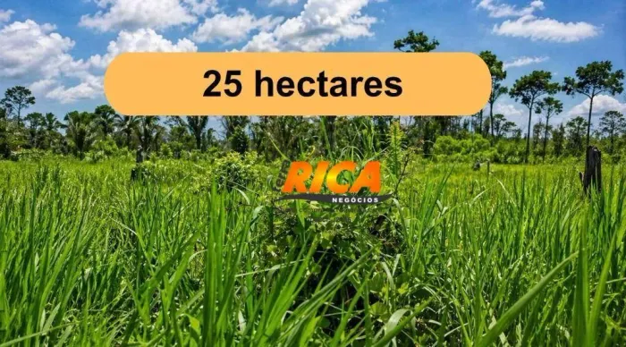 Sítio com 25 hectares à venda  Joana DArc, Linha 17 Agrovila | Fácil Acesso a 110 km de Po