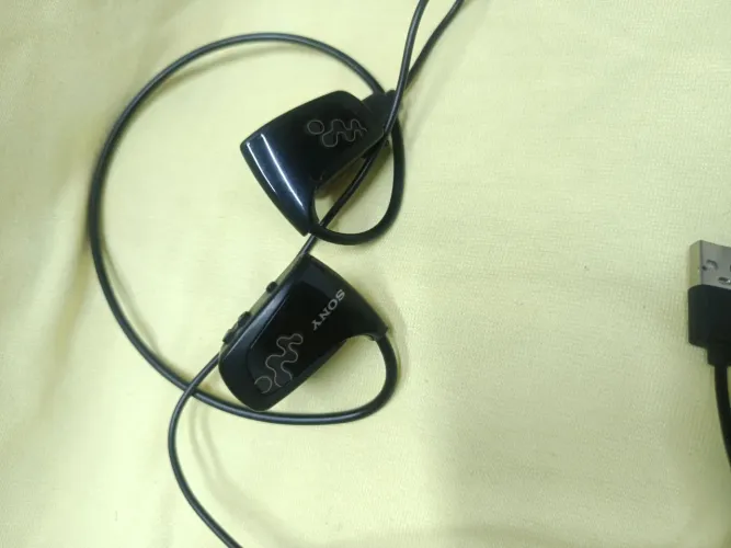 Sony Walkman Nwz-w262 Leitor De Mp3