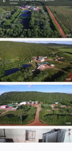 Frigorífico de Boi em Rondônia, Guajará Mirim R$:28 milhões.