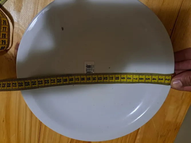 Prato porcelana 26cm novos