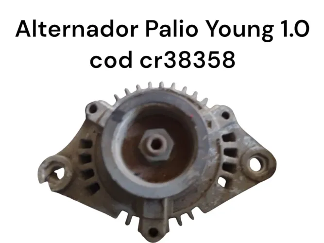 Alternador palio young