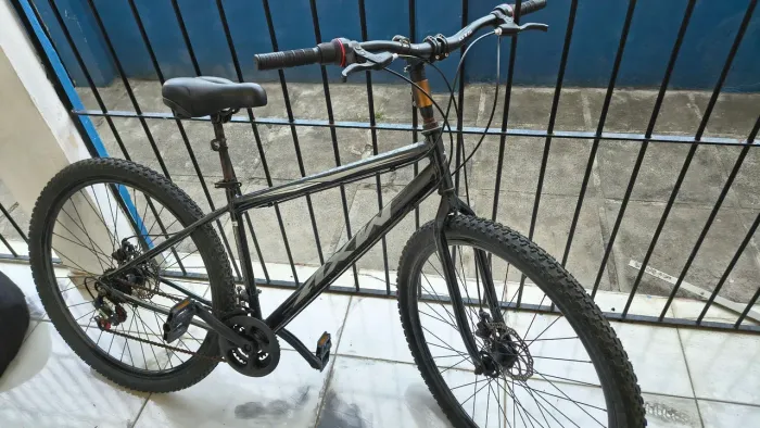 Bicicleta aro 29