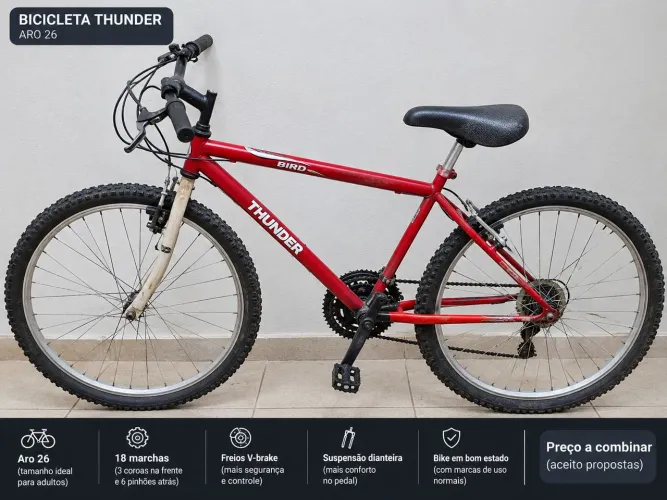Bicicleta thunder bird