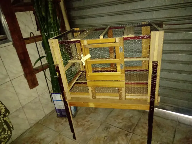 Viveiros de madeira , fabricação propía / ZL