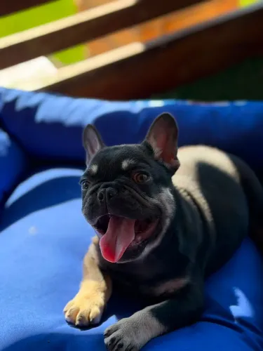 Lindo macho disponível pra hoje ( não perca tempo)