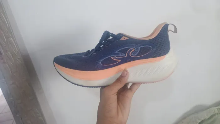 Tenis
