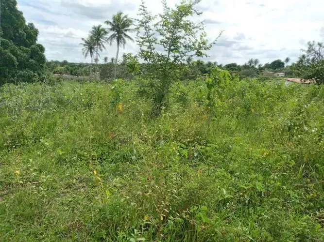 Excelente Fazenda com 200 hectares na região de São Gonçalo do Amarante