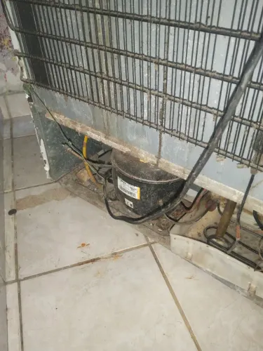 Super freezer Electrolux em perfeito estado todas adesivada funcionando tudo