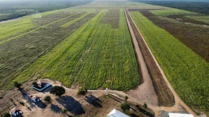 Fazenda à venda, Pista de pouso, 4083ha, Agronegócio/Pecuária - BA