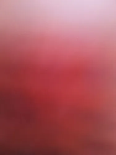 Vendo 14 peça andaime