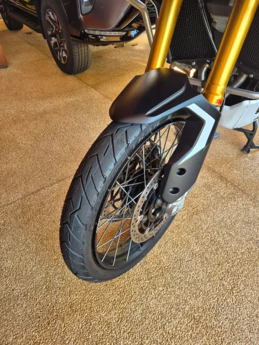 Tiger 900 Rally Pro