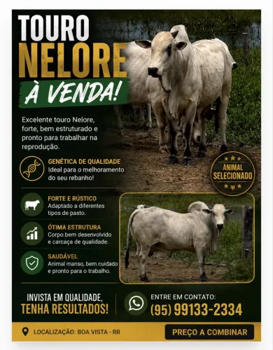 A VENDA TOURO NELORE P.O