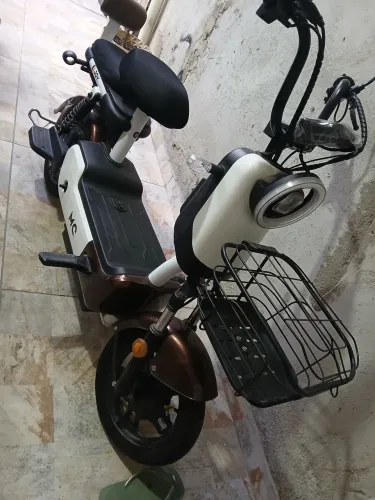 Motinha