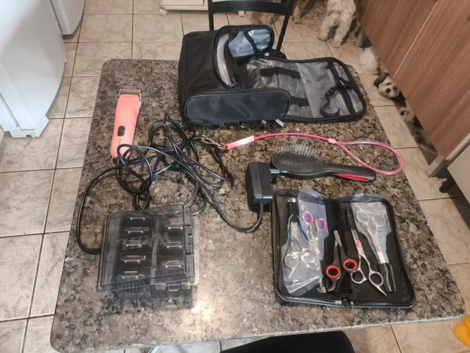 Máquina de Tosa Wahl Romeo Profissional + Kit de Pentes Original + Estojo de Tesouras