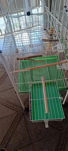 Vendo viveiro para calopcita