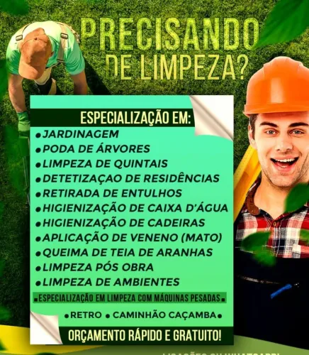 Limpeza de lote e entulho 