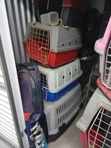 caixas de transporte, guias, focinheiras e mais alguns itens para taxi dog