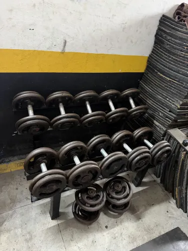 Halteres (Dumbells)
