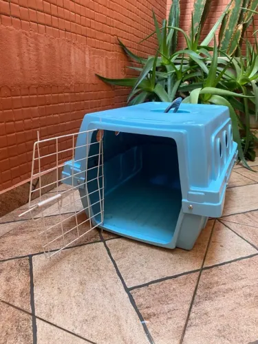 Caixa de Transporte para Cães e Gatos - Ótimo Estado!