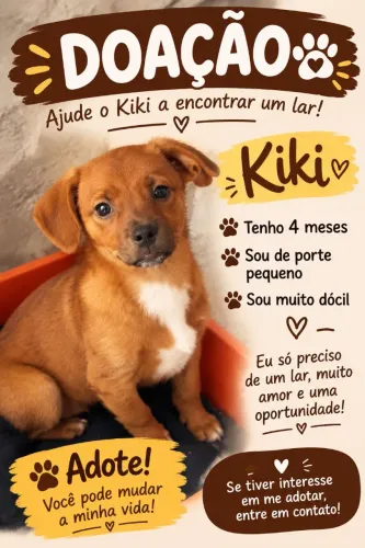 Doação