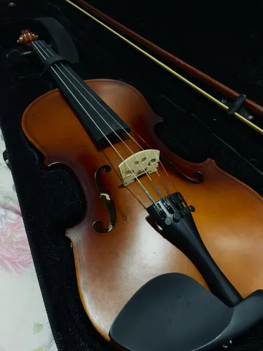 VIOLINO PROFISSIONAL