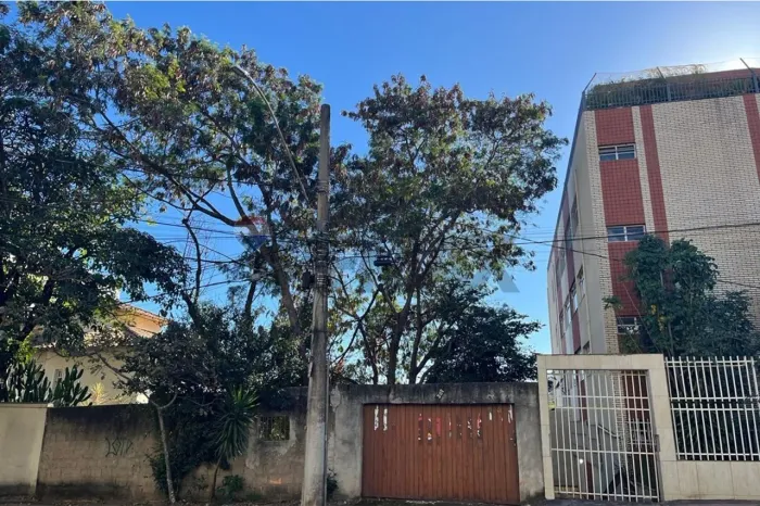 Lote venda bairro Santa Lúcia 438m² R$590.000,00 - Árvores frutíferas