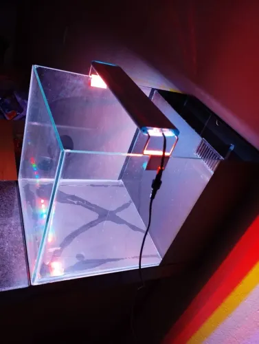 Aquário com sump traseiro