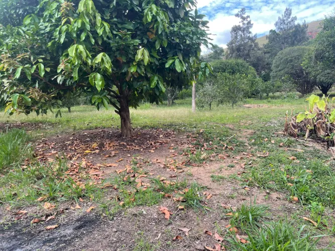 Terreno a venda em Pedro do Rio
