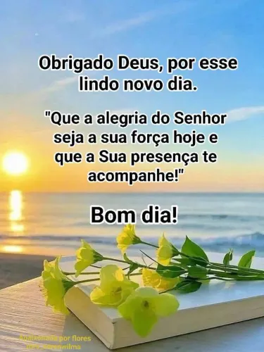 VENDO TUDO
