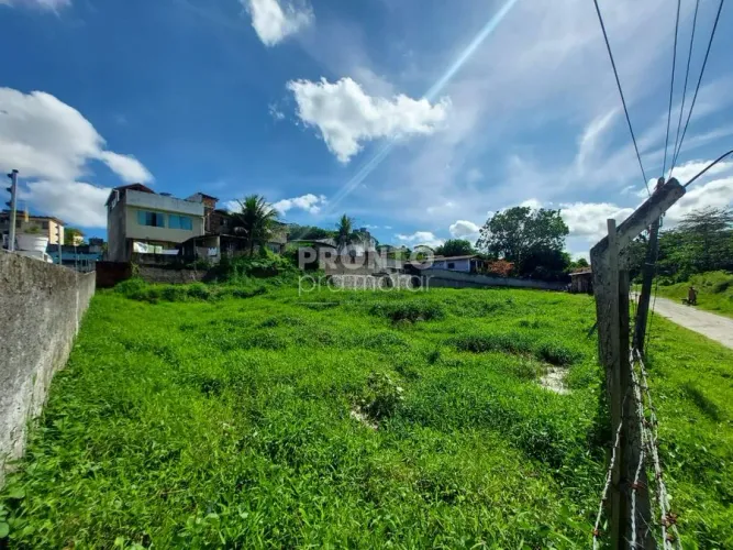 Lote/Terreno/Condomínio em Várzea