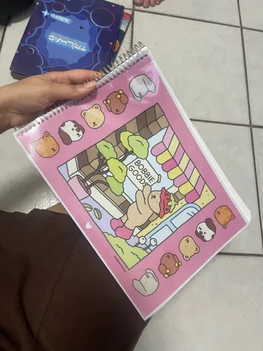 Livro de pintura