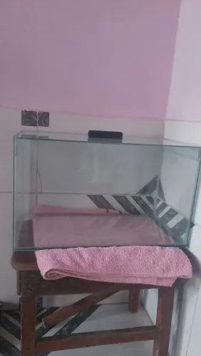Aquário para peixe