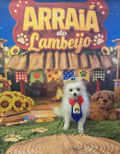 Lulu da Pomerânia!