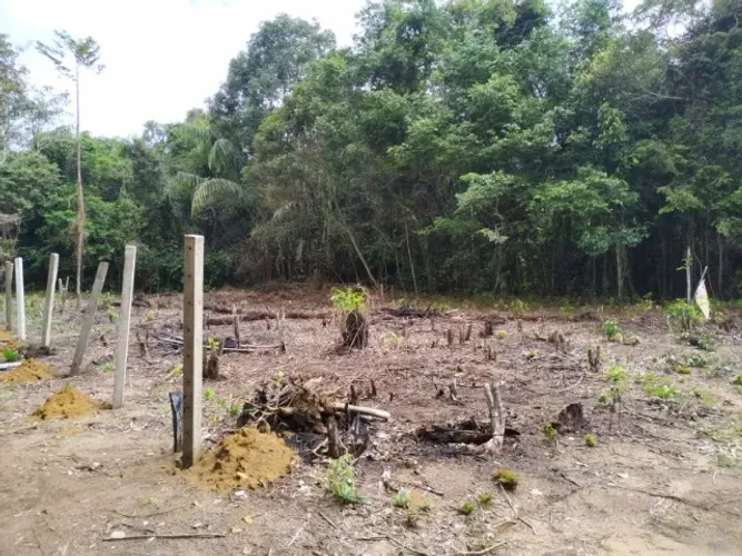 Vendo Terreno no Ramal da Cacheira do Castanho (720m²)