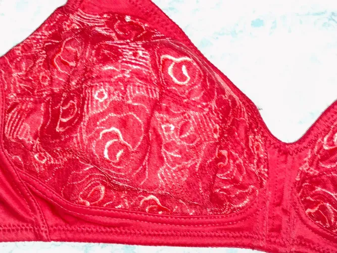 Sutiã rendado Demillus elegância dê mulher 