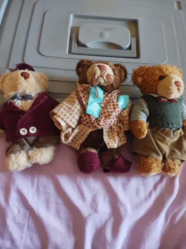 The bears family coleção de pelucias.